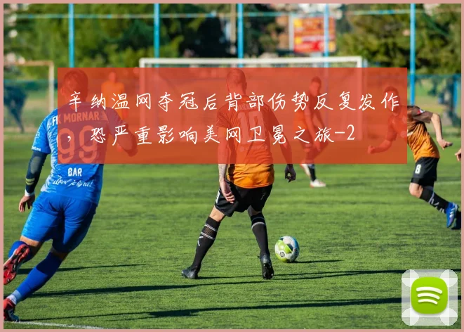 辛纳温网夺冠后背部伤势反复发作,恐严重影响美网卫冕之旅