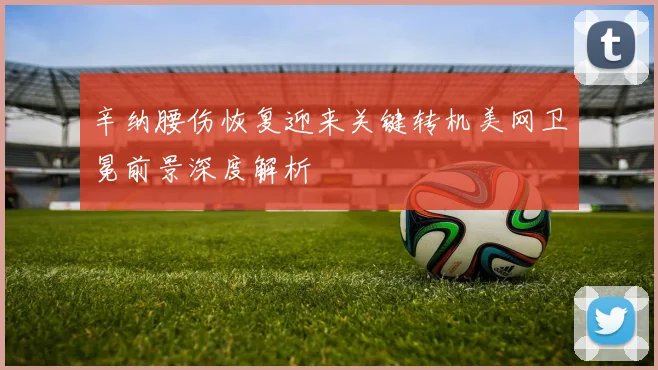 辛纳腰伤恢复迎来关键转机美网卫冕前景深度解析