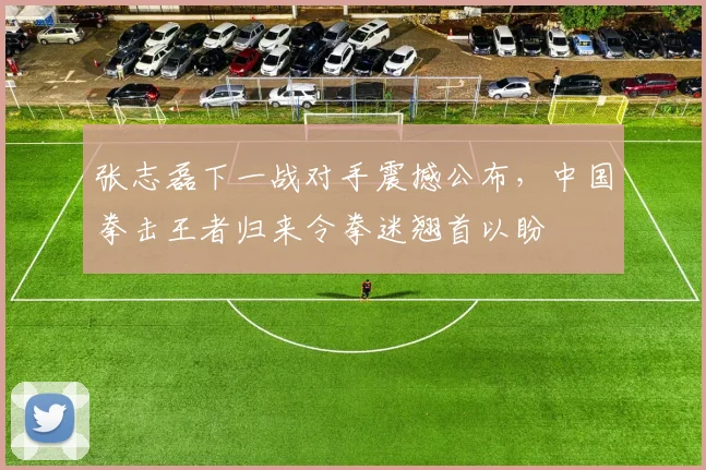 张志磊下一战对手震撼公布，中国拳击王者归来令拳迷翘首以盼
